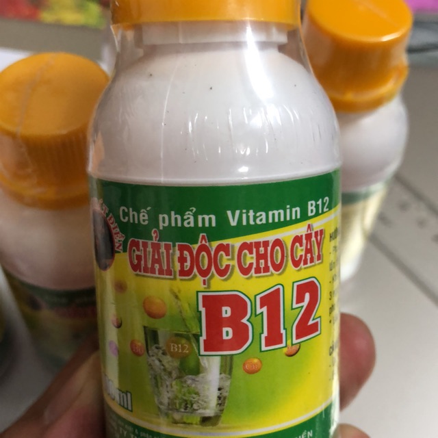 Vitamin B12 - Giải độc cho cây, tái tạo tế bào mới (100 ml) ☘️