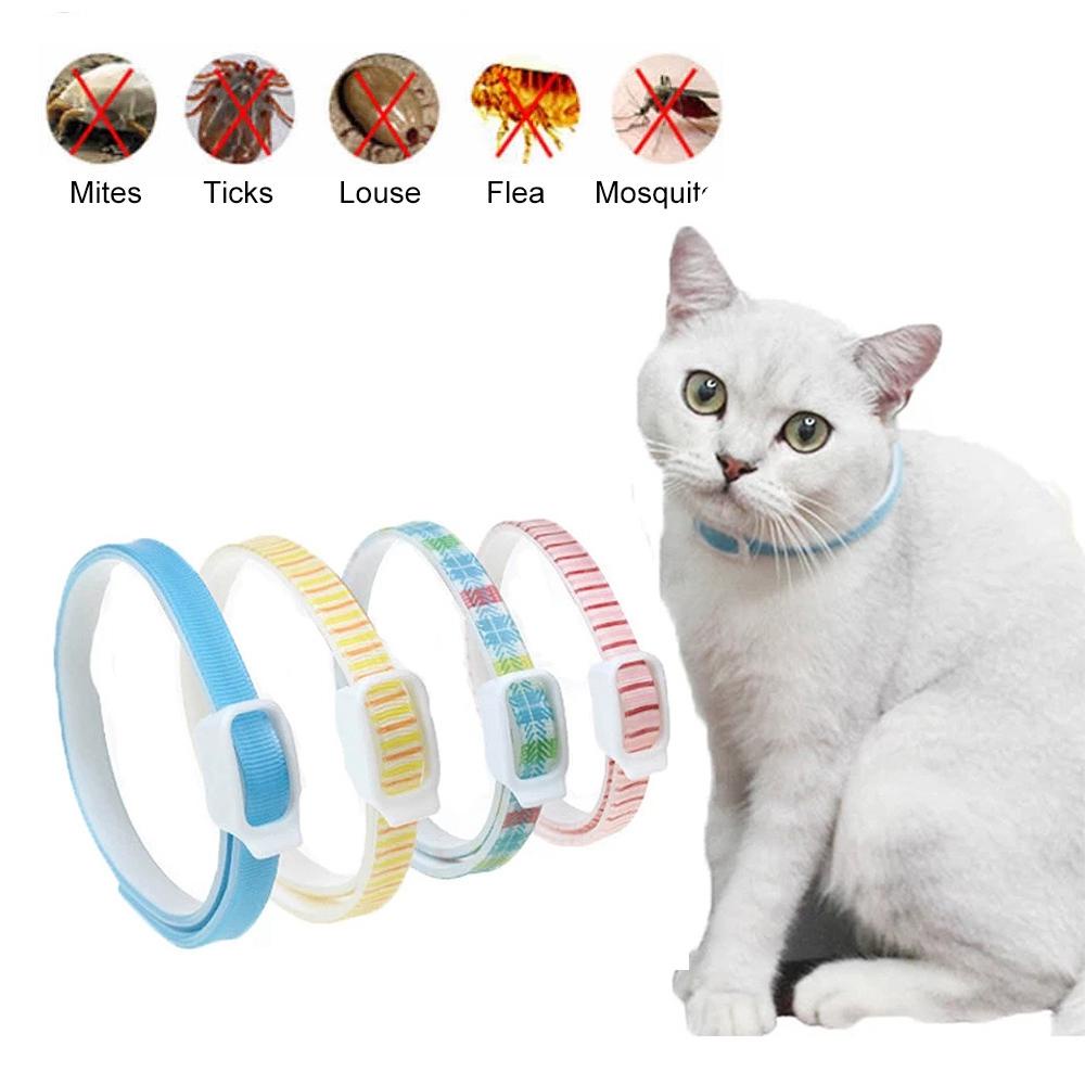 Vòng Cổ Thanh Lịch Chống Muỗi Cho Thú Cưng