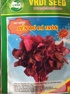Hạt giống rau dền đỏ 50gr