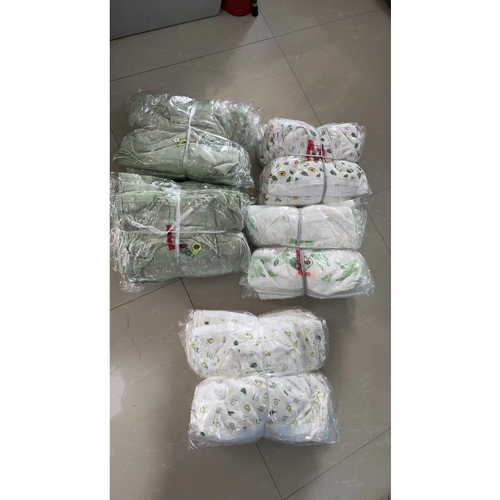 Combo 5 quần lót cotton kháng khuẩn in hình