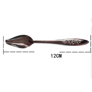 1 cái muỗng đút bột cho vẹt non
