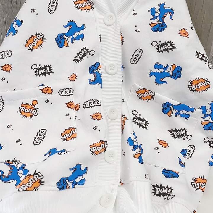 [Mã SKAMCLU7 giảm 10% tối đa 50K đơn 0Đ] Áo Bomber Khủng Long | BigBuy360 - bigbuy360.vn