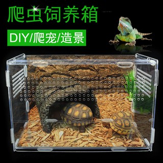 Hộp chăn nuôi và cách nhiệt bánh xích acrylic Phòng mô hình trong suốt Nhện rùa cho thú cưng thằn lằn có sừng Ếch
