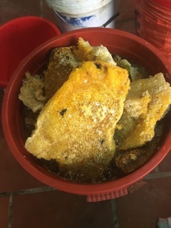 MẬT ONG BẠC HÀ CHUẨN RỪNG