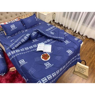 Bộ ga gối 1m6 poly cao cấp hcm sư tử và voi