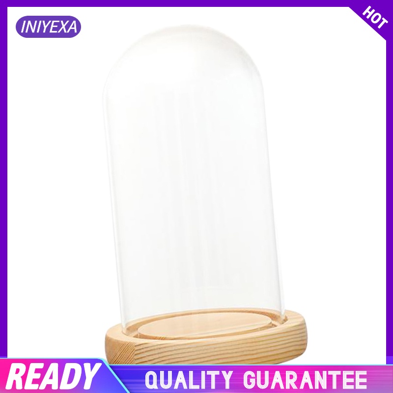 Thủy tinh + Đế gỗ LED, Lọ chuông thủy tinh trong suốt trang trí để trang trí quà tặng