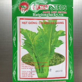 Hạt Giống Rau Cải Mèo SaPa(20gr)