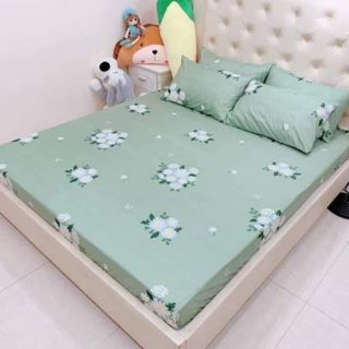 Set ga gối cotton poly