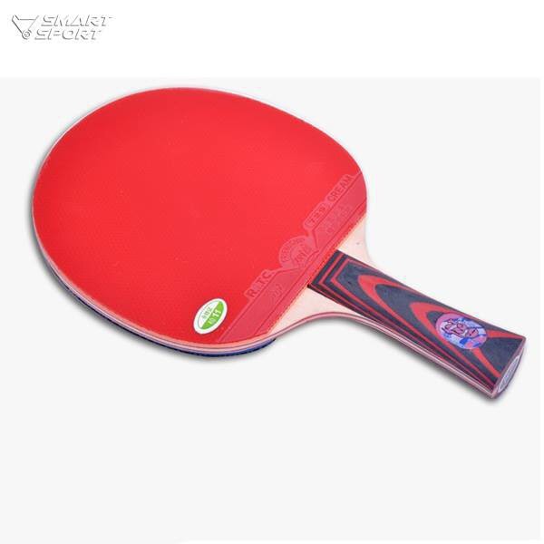 Vợt Bóng Bàn Vợt 729 - 2060 Cao Cấp [SHOP UY TÍN]