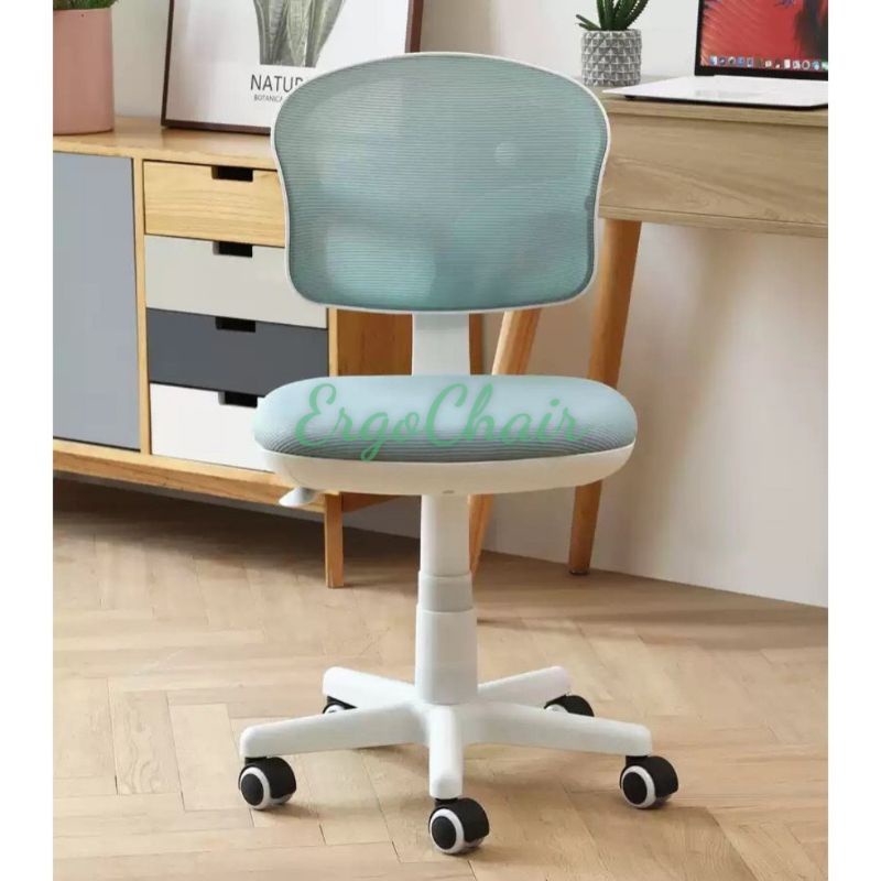 Ghế Xoay Ergonomic EG-2555 Ghế Trẻ Em