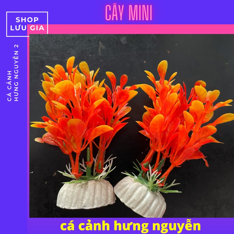 Cây cỏ nhựa size mini và to dùng trang trí hồ cá nhỏ [ ĐỦ MÀU ] | Phụ kiện cây nhựa trang trí bể cá cảnh | Lưu gia decor