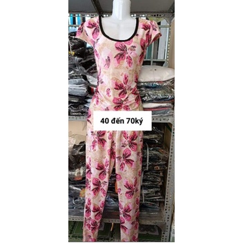 Bộ tay con quần dài thun cát thái chéo