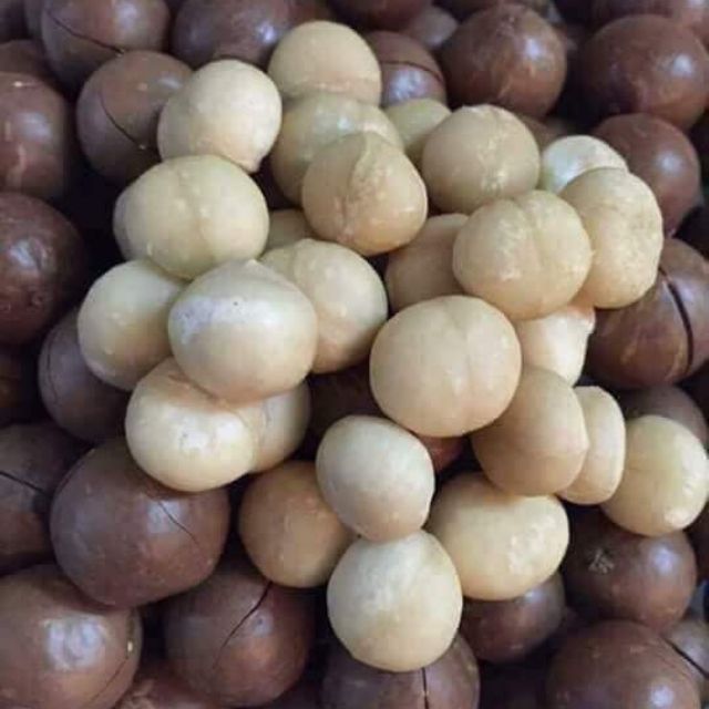 Hạt macca