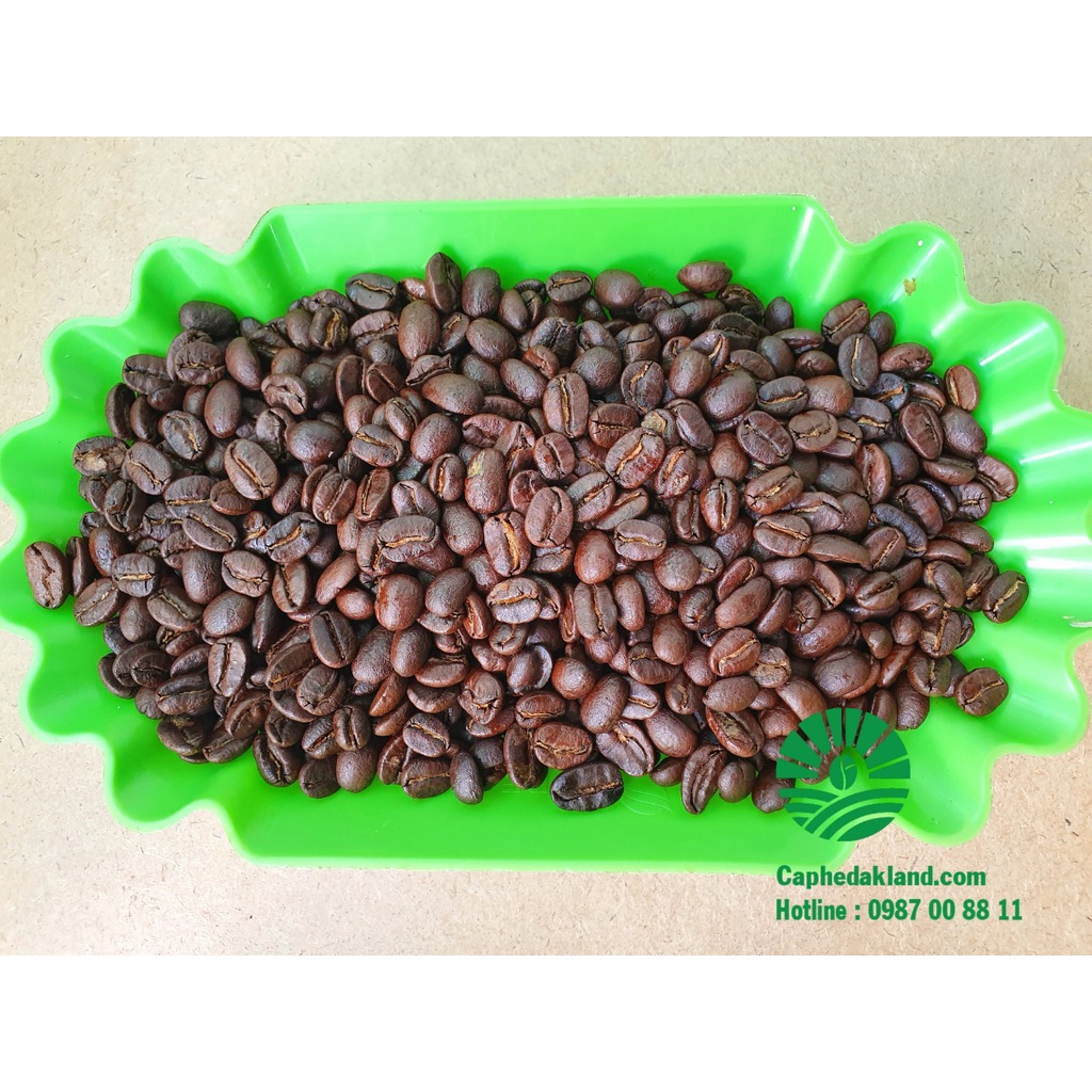 DAKLAND COFFEE -CÀ PHÊ SẠCH ROBUSTA | BigBuy360 - bigbuy360.vn