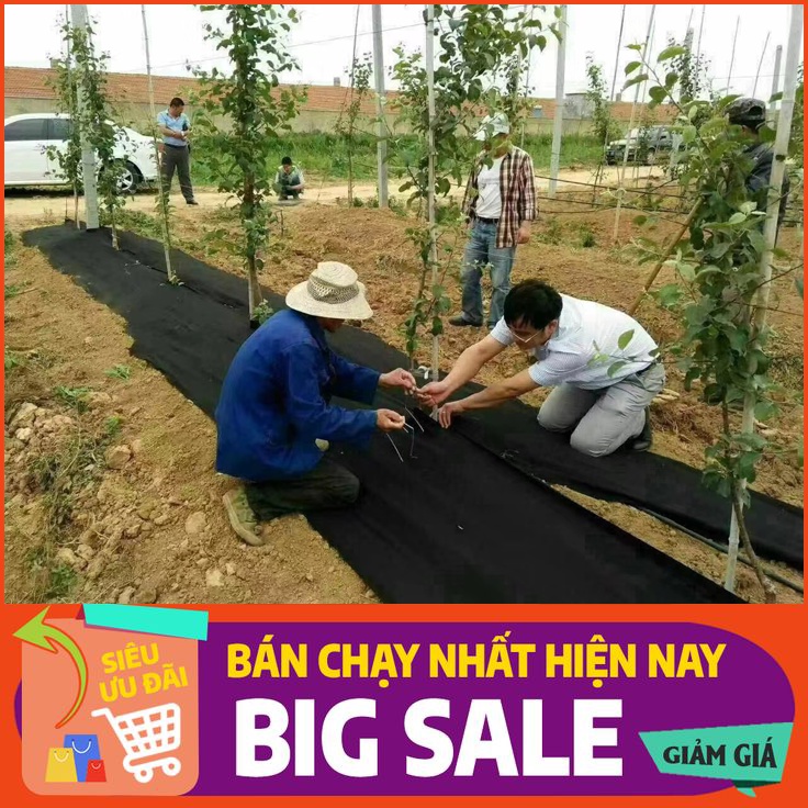 Bạt phủ nông nghiệp, loại cuộn kích thước 1,2m x 50m, chống sói mòn đất, thấm hút 1 chiều công nghệ nhật bản