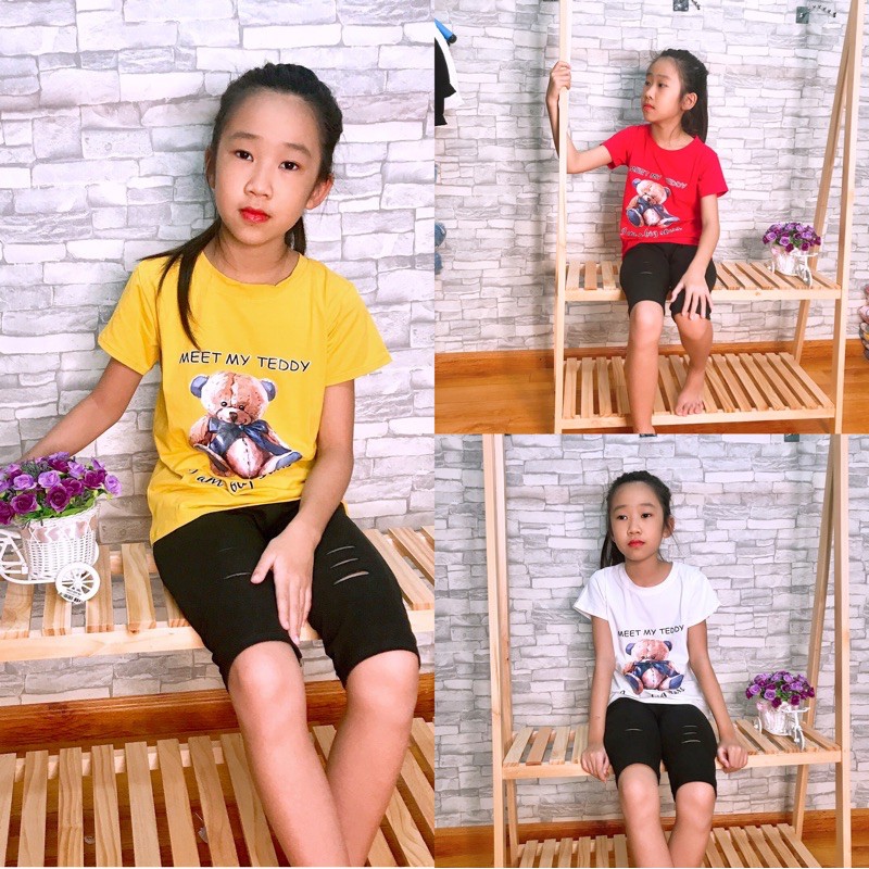 Bộ cotton Bé Gái Hoạ Tiết Gấu MoChiNo