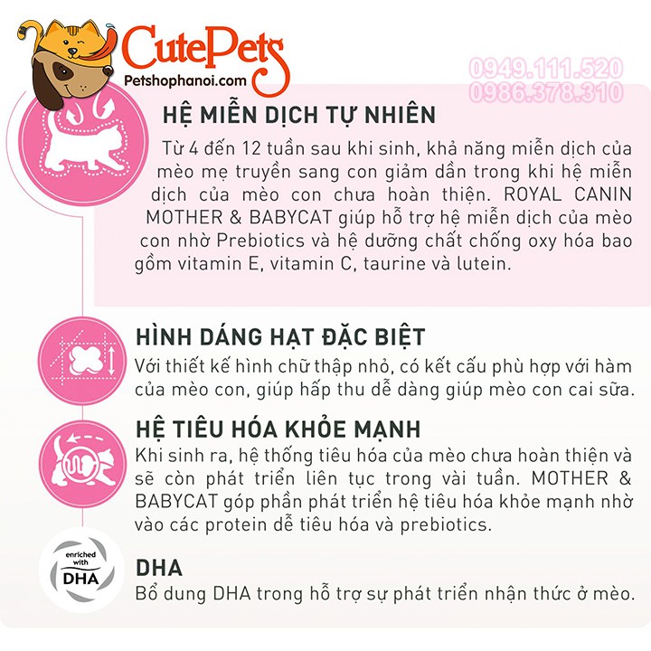 Thức ăn cho mèo Royal Canin Baby Cat 34 Một Cân Hạt cho Mèo mẹ bầu và mèo sơ sinh - CutePets