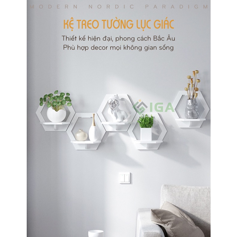 Kệ treo tường decor trang trí nhà cửa hình lục giác ig389.2