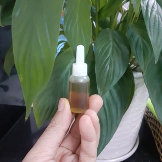 {10ml} Dầu Mù U Nguyên Chất 100% ( nhà làm)