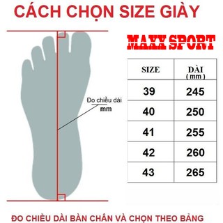 Giày Sneaker nam V SPORT