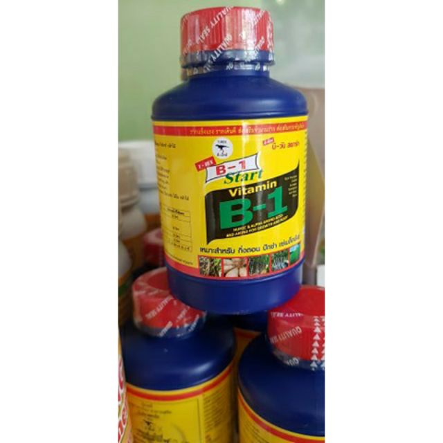 Vitamin B1 Thái Lan lọ 100ml