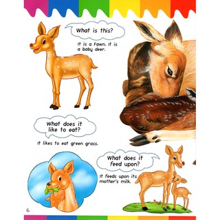 My First Questions & Answers - Baby Animals