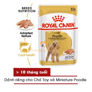 Pate royal canin cho chó poodle wet 85gr