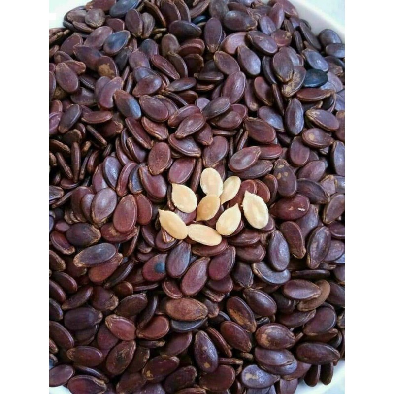 🎊[QUÀ TẾT] Hạt dưa không màu Tứ Hưng túi zip 500g loại 1 🇻🇳🇻🇳