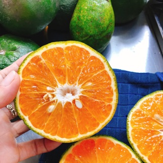 CAM SÀNH CÁI BÈ / CAM TƯƠI / CAM VẮT NƯỚC