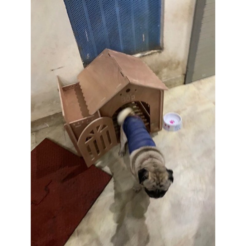 Nhà lắp ghép cho chó mèo bằng gỗ chịu nước, chống ẩm mốc.