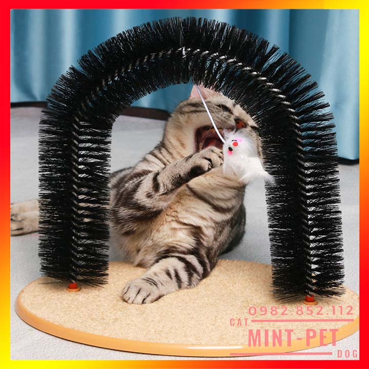 Đồ chơi vòm chui gãi ngứa cho mèo kèm chuột giá rẻ #MintPet