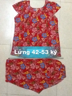 Bộ lanh lửng 42-53 ký