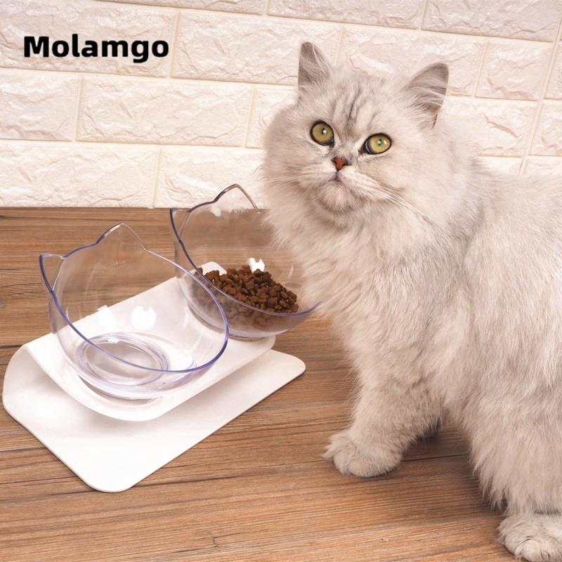 MOLAMGO Tô đựng đồ ăn cho thú cưng