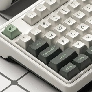 Bàn phím cơ không dây FL-Esports CMK98 SAM Tropical Forest Kết nối 3 mode- Hàng chính hãng