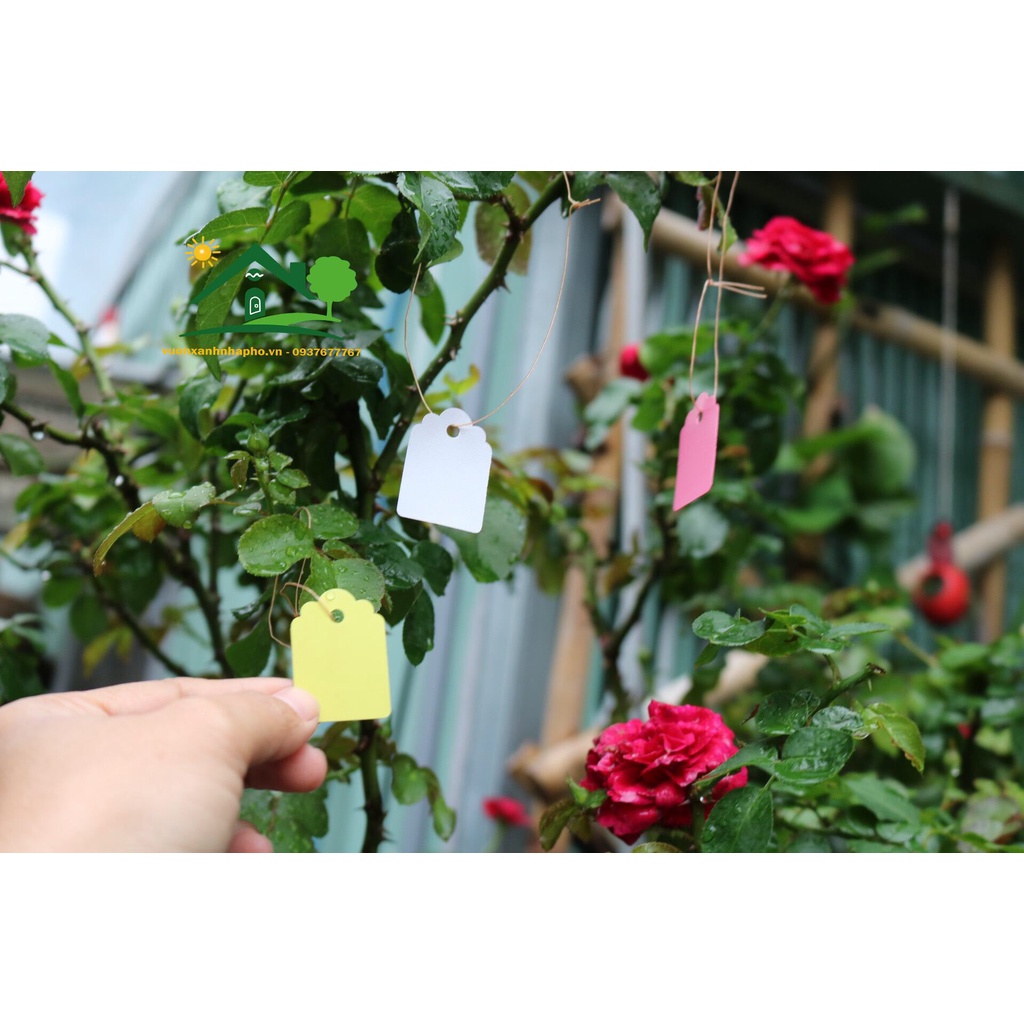 Set 100 thẻ treo kèm sẵn dây dùng ghi nhớ tên giống cây trồng - size 2.5x3.5cm, 3x4.5cm, 4x6cm, 5x7cm