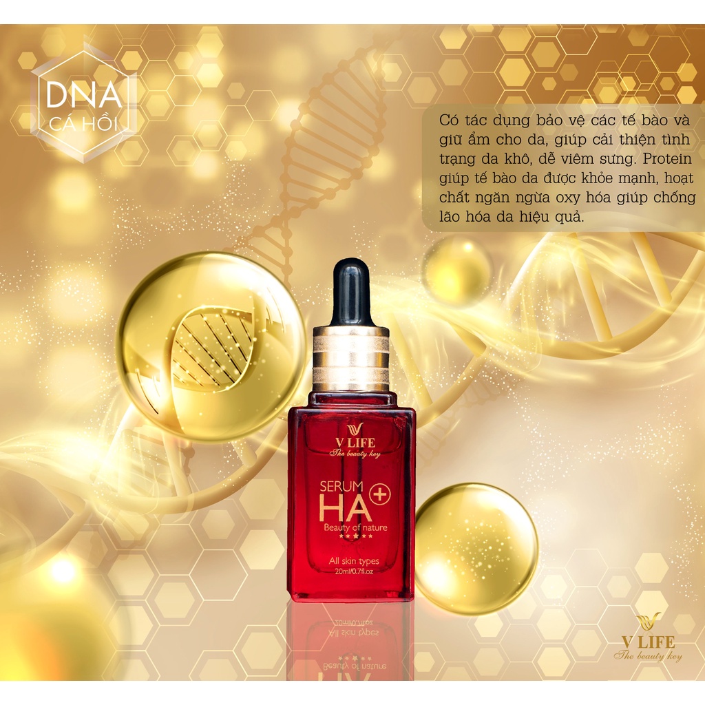 Serum Ha Plus dưỡng da VLIFE