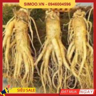 💥 ⚡ SẢN PHẨM CHÍNH HÃNG 💥 ⚡ SÂM TƯƠI HÀN QUỐC 100% NHẬP KHẨU, KHÔNG CHẤT BẢO QUẢN. LOẠI 10CỦ /1KG 💥 ⚡