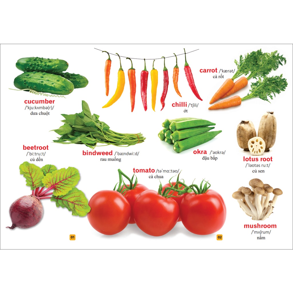 Sách Từ điển bằng tranh - Rau củ quả (tái bản)
