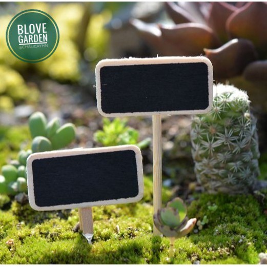 Combo 05 cái Bảng đen mini - làm phụ kiện tiểu cảnh trang trí chậu cây Terrarium, sen đá, xương rồng, gắn tag trang trí