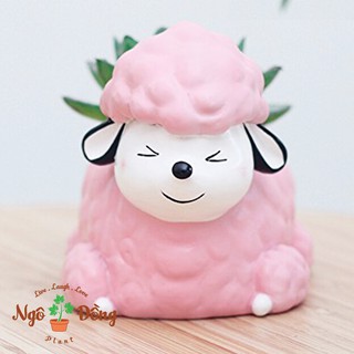 Chậu Cây Chó Poodle Mặt Cười Trồng Sen Đá Xương Rồng Trang Trí Bàn Làm Việc Văn Phòng Dễ Thương