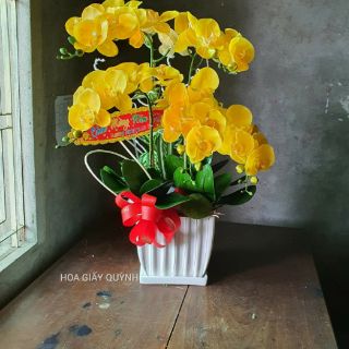 LÁ LAN HỒ ĐIỆP