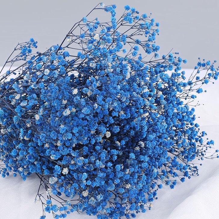 Hoa baby khô, Gypsophila hoa khô decor trang trí phòng ngủ, làm đồ handmade