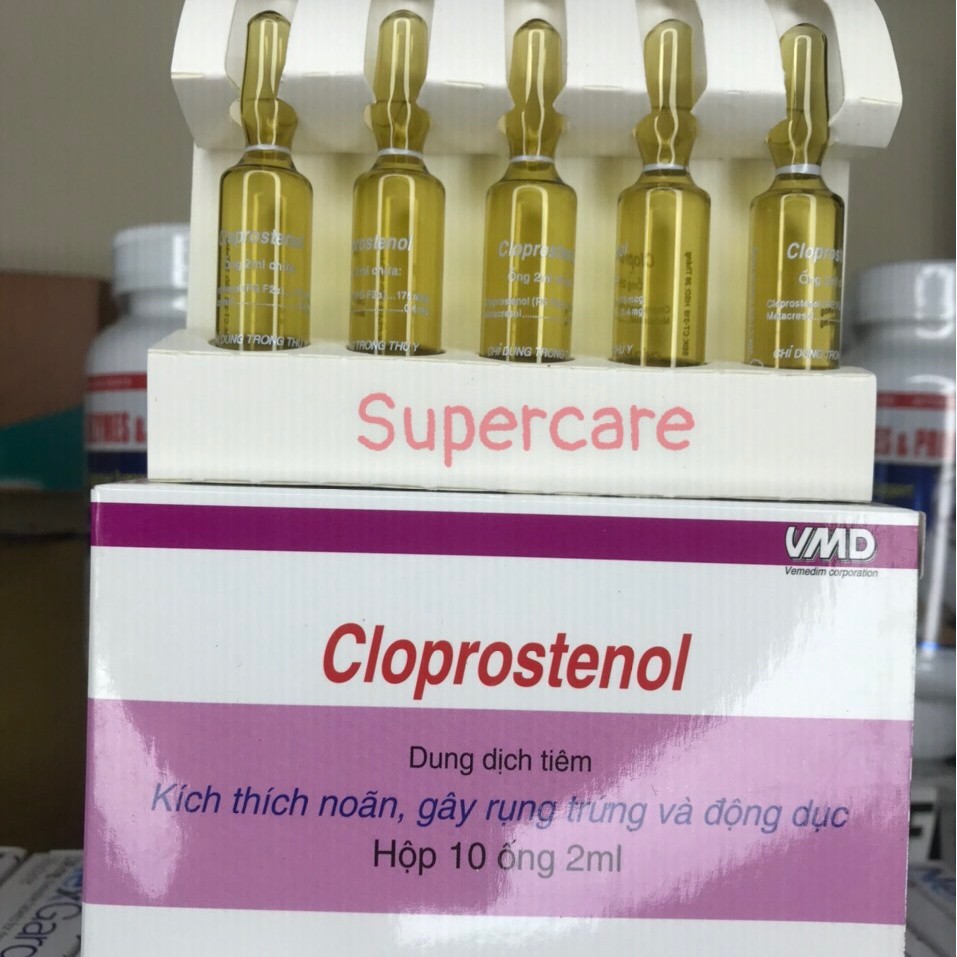 1 Ống CLOPROSTENOL - Lên Giống, Rụng Trứng ở Vật Nuôi