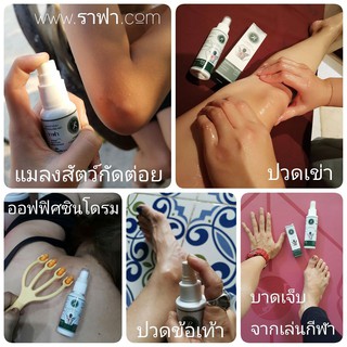 🌟 Dầu Thảo Dược Rapha 25ml Thái Lan #quatat 🌟