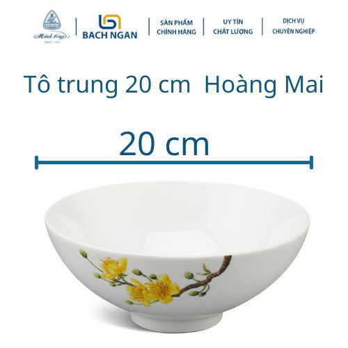 Tô trung Minh long 20 cm Daisy IFP Hoàng Mai