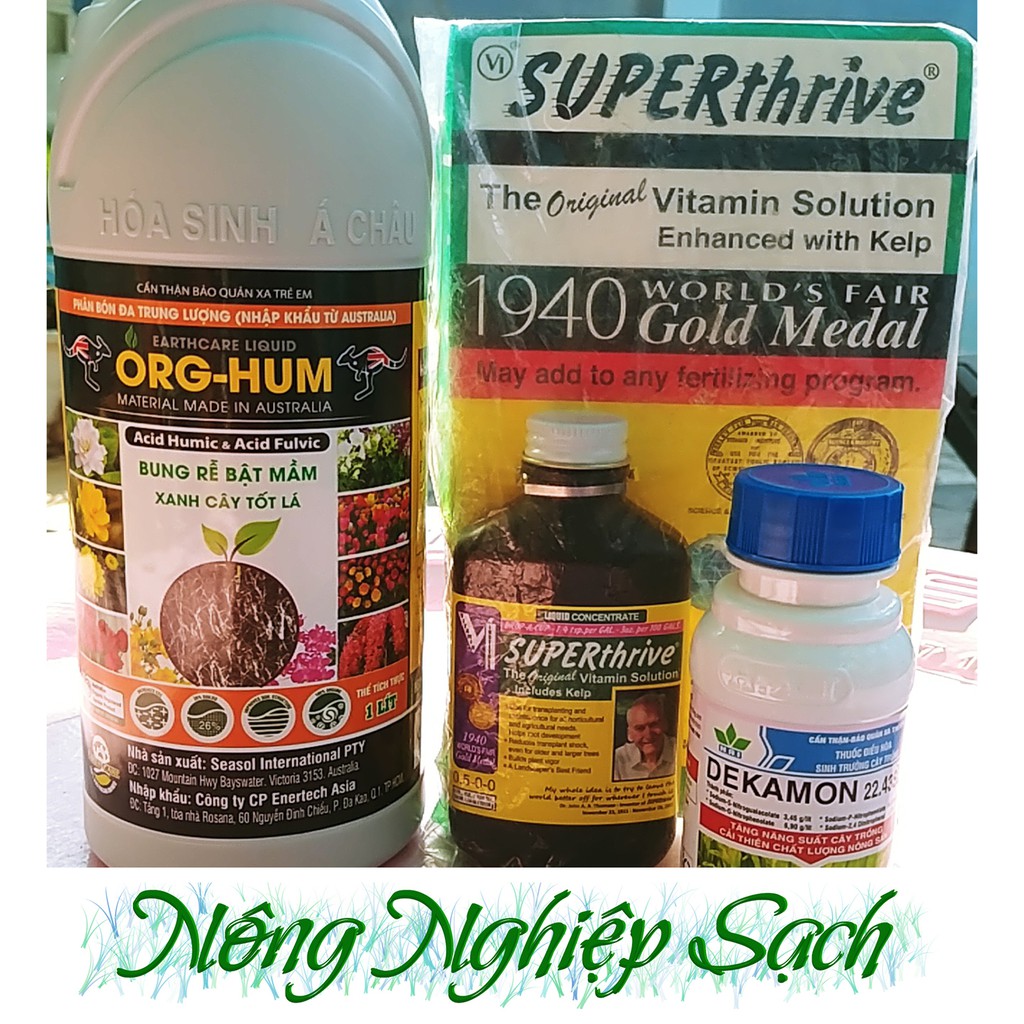 Combo Kích rễ Lan CỰC MẠNH