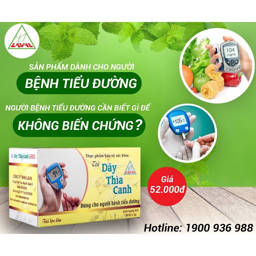 Trà Dây Thìa Canh Lava - Hộp 30 Túi Lọc