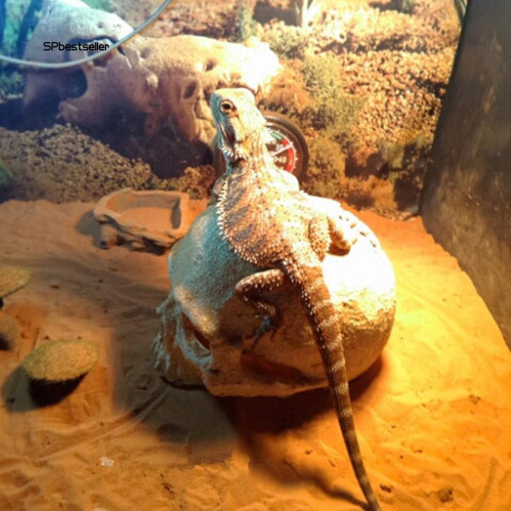 Mô hình đầu lâu bằng nhựa tạo hình trang trí bể cá độc đáo