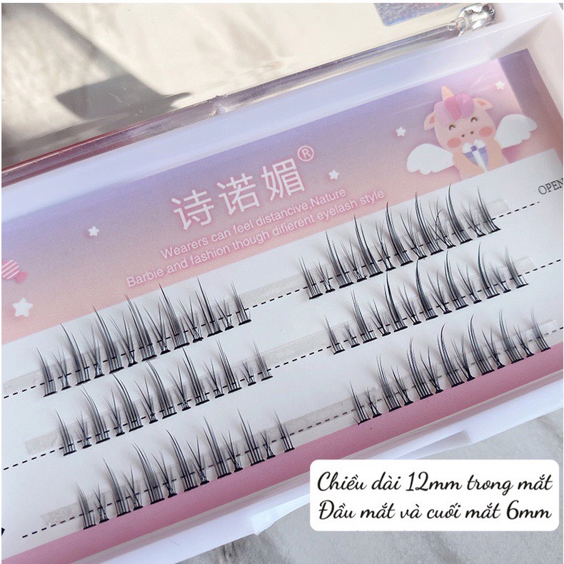 Lông mi giả trang điểm tự nhiên Mi chùm tách sợi tự nối hottrend tiktok - PIONI