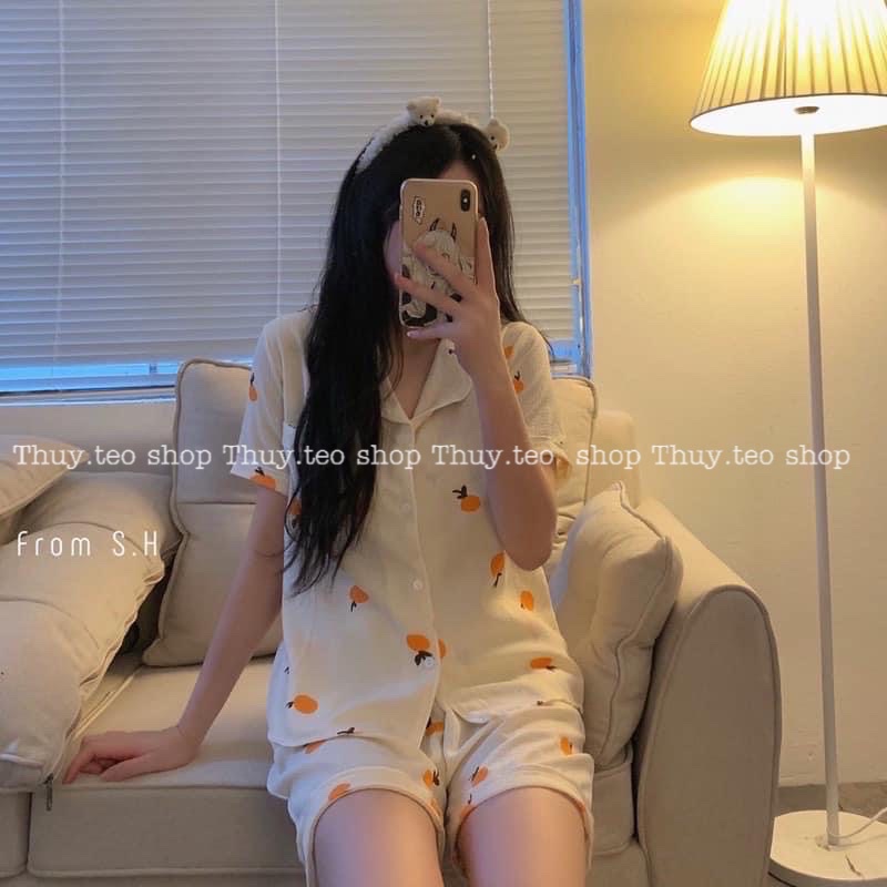 set bộ pịama cổ đức cộc tay phối quần sooc chất